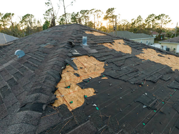 Best Asphalt Shingle Roofing  in Pho, IL