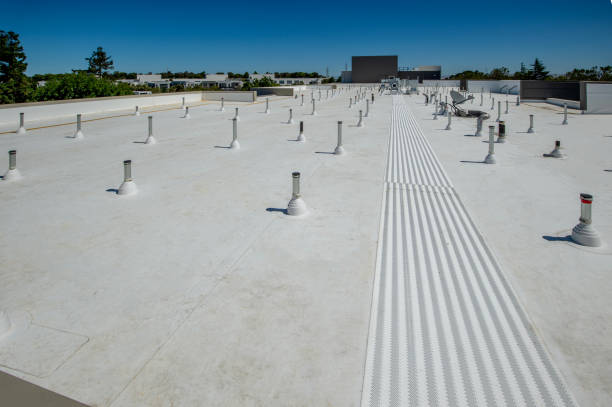 Best Roof Coating and Sealing  in Pho, IL